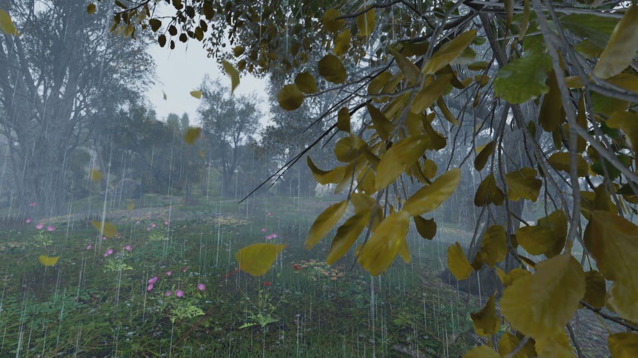 Así afecta el paso de las estaciones a los bosques madrileños