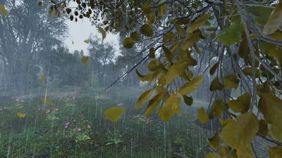 Así afecta el paso de las estaciones a los bosques madrileños