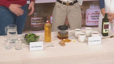 Desmontamos los mitos de las cenas navideñas