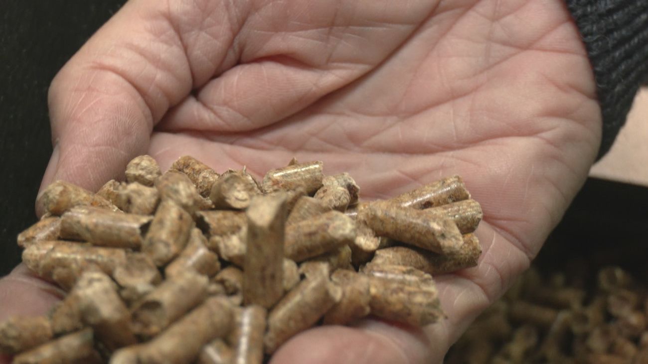 Diferentes alternativas para calentar nuestra casa este invierno