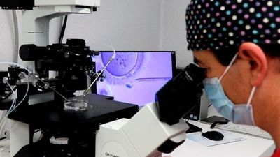 Un estudio relaciona la exposición a productos químicos domésticos con una menor probabilidad de embarazo