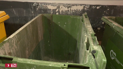 La bebé rescatada de un contenedor en Sevilla recibe el alta y ya está con su nueva familia