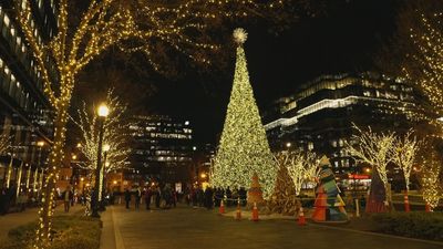 ¡Navidad en Washington!