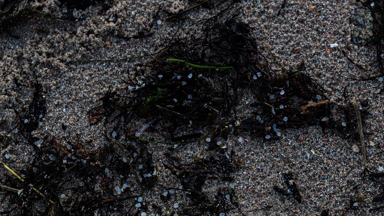 Denuncian la aparición de multitud de pellets de plástico en playas de Galicia