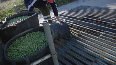 Madrid mejora tu vida 07.01.2024