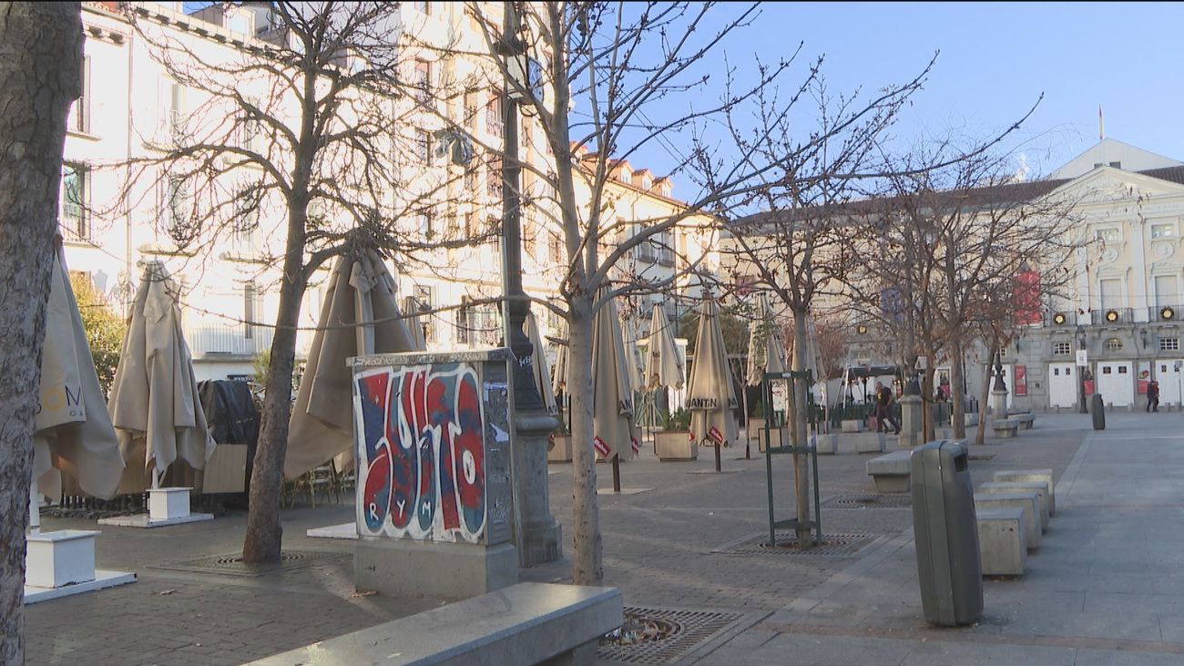 El Ayuntamiento de Madrid tumbará más de la mitad de los árboles de la plaza de Santa Ana