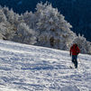 La sierra de Madrid, en aviso amarillo por nieve