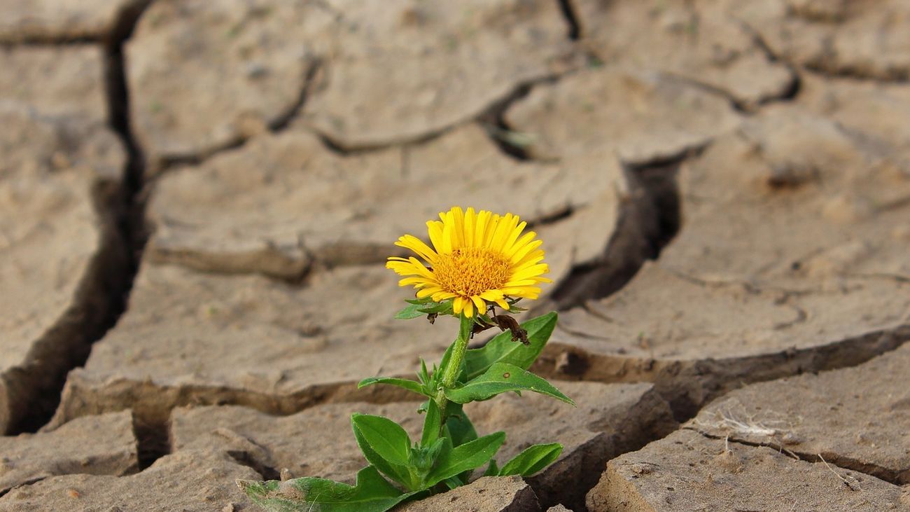 ¿El mundo mejora o empeora? La mayoría de la gente cree que nos dirigimos al caos, pero los datos afirman lo contrario