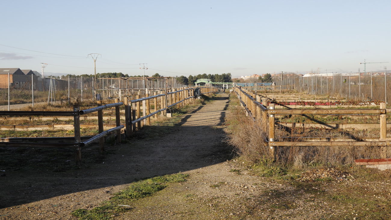 Huertos urbanos de Los Molinos, en Getafe