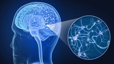 Descifran el enigma del origen de la esclerosis múltiple