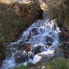 La Senda del Agua de la Acebeda: un plan para toda la familia en la Sierra Norte