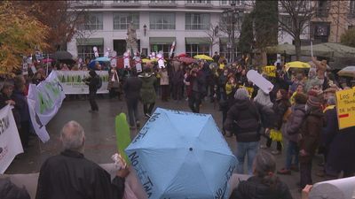 Vecinos de Madrid se concentran contra el "arboricidio" de la plaza de Santa Ana