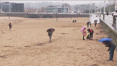 Vientos del sur y las corrientes empujarán los pélets hacia el Cantábrico desde este domingo