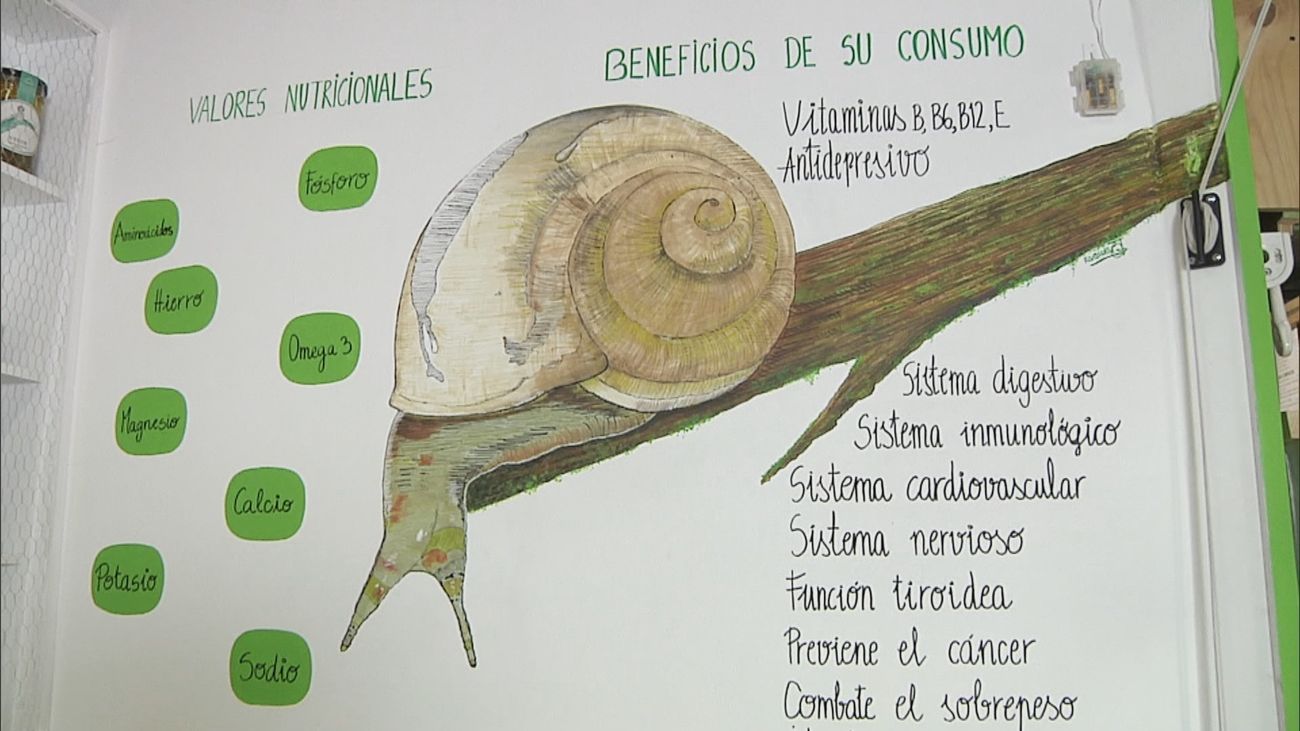 Madrid mejora tu vida 14.01.2024