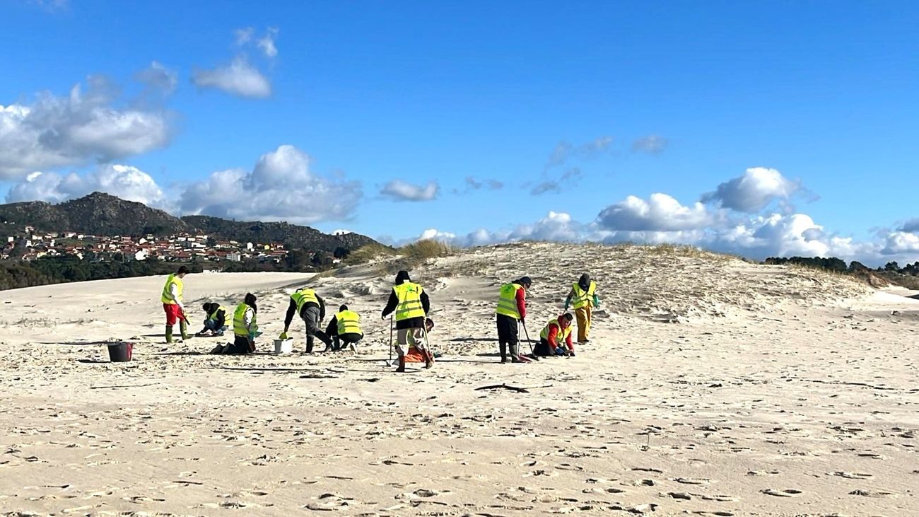 Limpieza de pélets en Muros, A Coruña