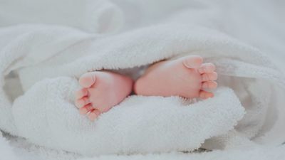 Novedades y avances en la técnica de reproducción asistida: ¿cómo afrontar el desafío demográfico?