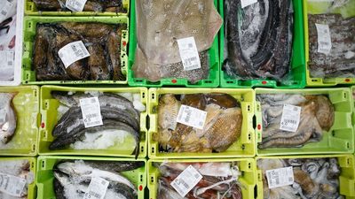 Si quieres vivir más sigue la dieta de los gallegos y los portugueses