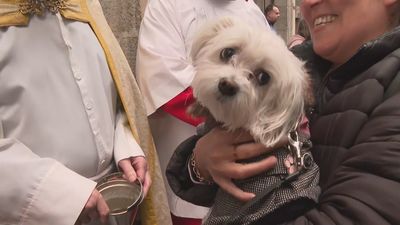 Cientos de madrileños acuden a la Iglesia de San Antón para bendecir sus animales