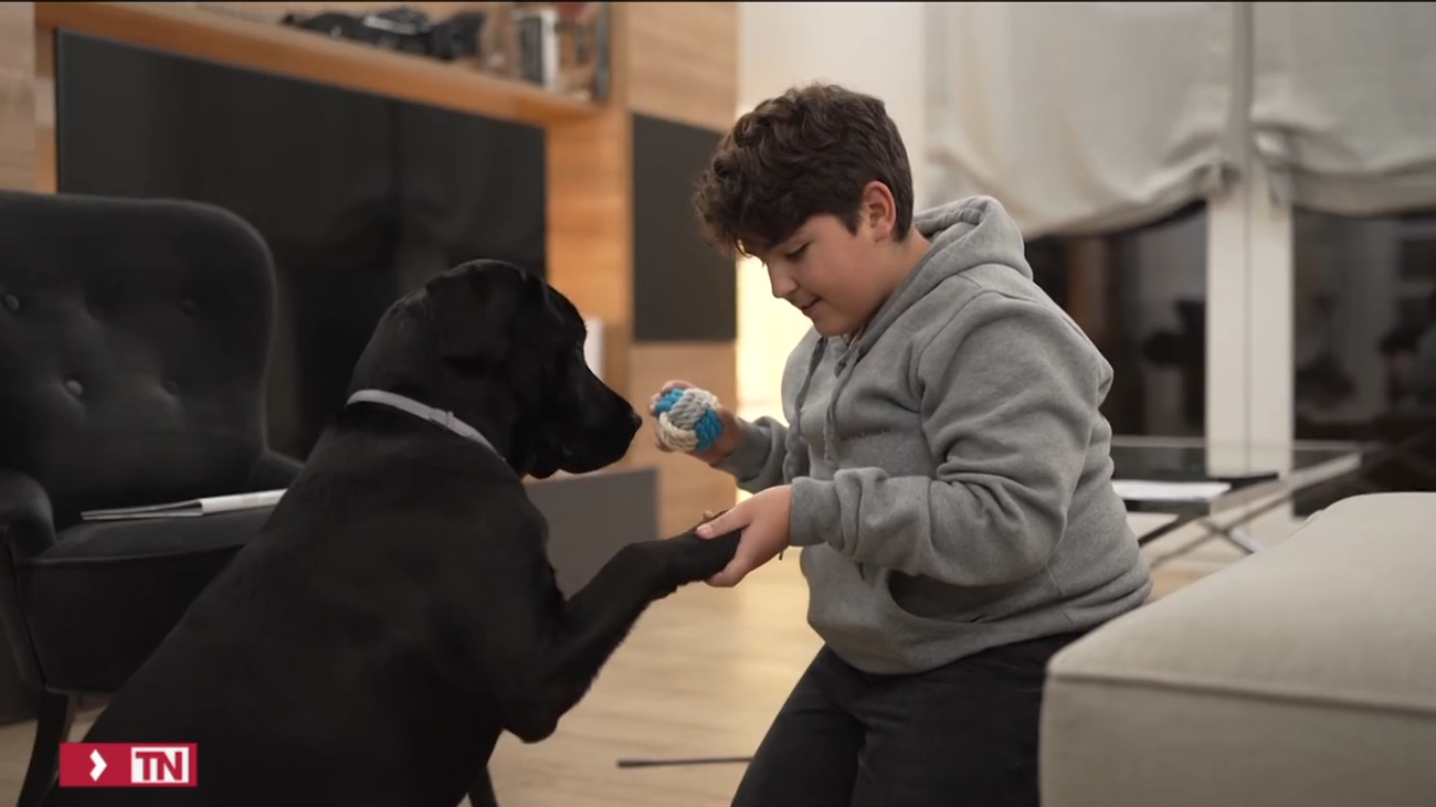 La Paz lanza una guía para niños trasplantados y mascotas: el 46% de familias tiene una y desconoce las recomendaciones