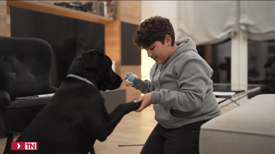 La Paz lanza una guía para niños trasplantados y mascotas: el 46% de familias tiene una y desconoce las recomendaciones