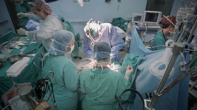 Suben en Madrid un 30% las donaciones de órganos, con récords históricos de trasplante pulmonar y renal