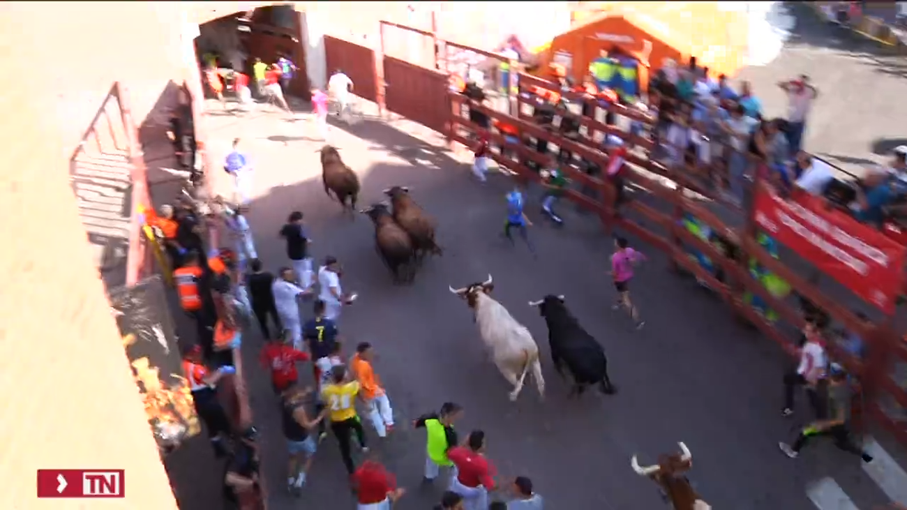 Lo que tienes que saber sobre los encierros blancos de San Sebastián de los Reyes
