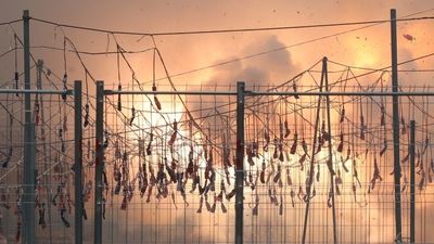 Ya hay fecha para la primera mascletá de Madrid