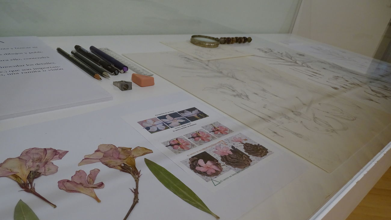 Uno de los paneles con la muestra del trabajo de Marta Chirino