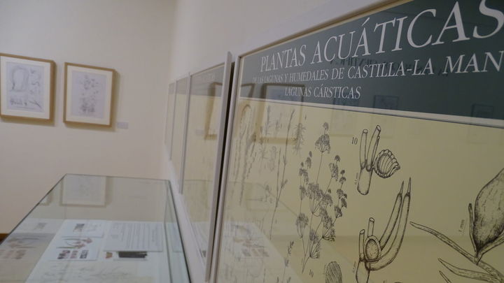 Exposición 'Jardín Ilustrado' de Marta Chirino, en Alcalá de Henares / AYTO ALCALÁ DE HENARES