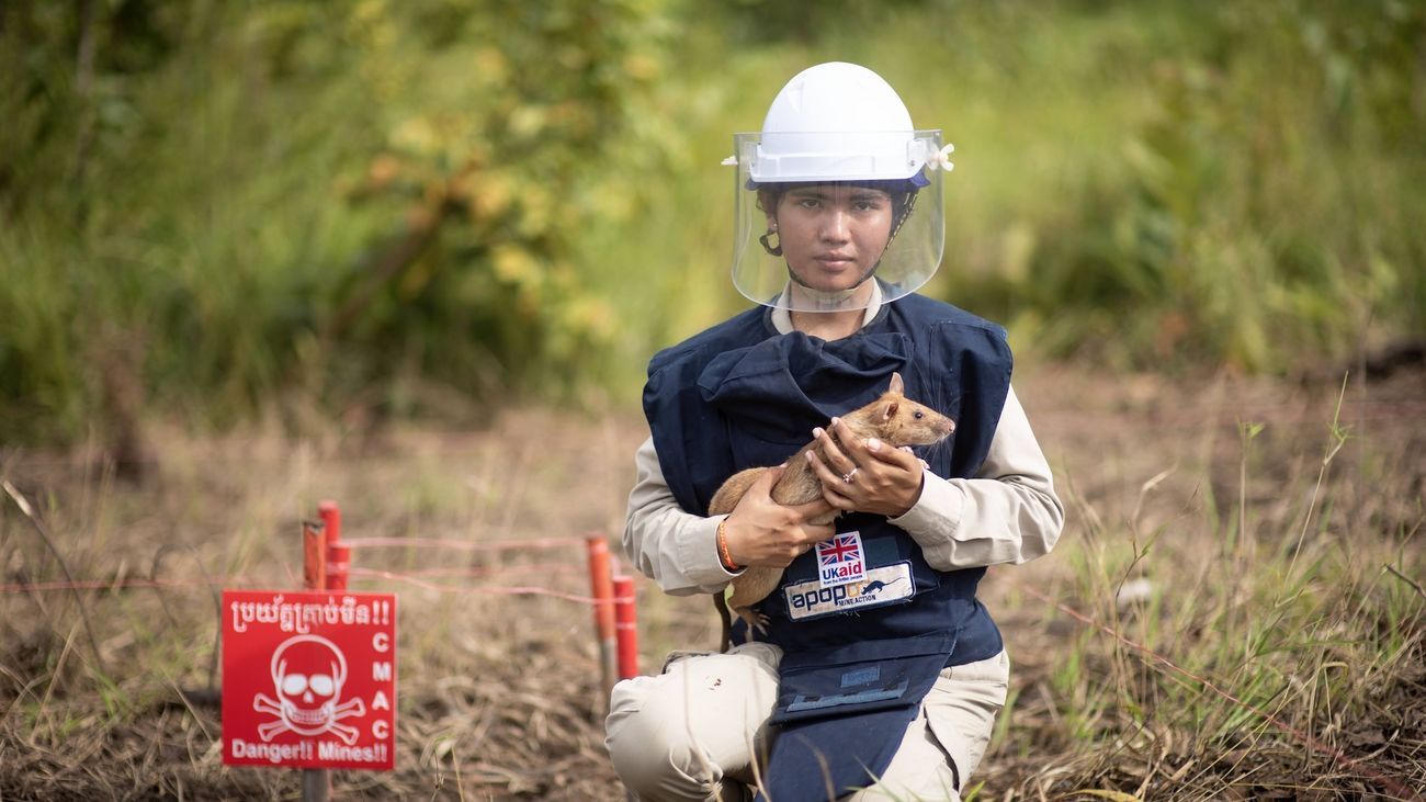 Imagen de la organización APOPO, especializada en la desactivación de minas antipersona