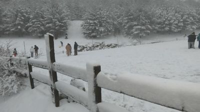 La DGT volverá a activar este fin de semana las medidas  de acceso en vehículo privado a Navacerrada y Cotos
