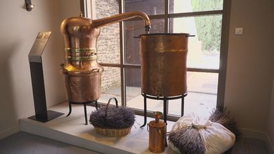 El Museo de la lavanda, planta silvestre símbolo de la Provenza francesa