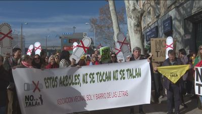 Vecinos de Retiro salen a la calle contra la tala de árboles en el Paisaje de la Luz