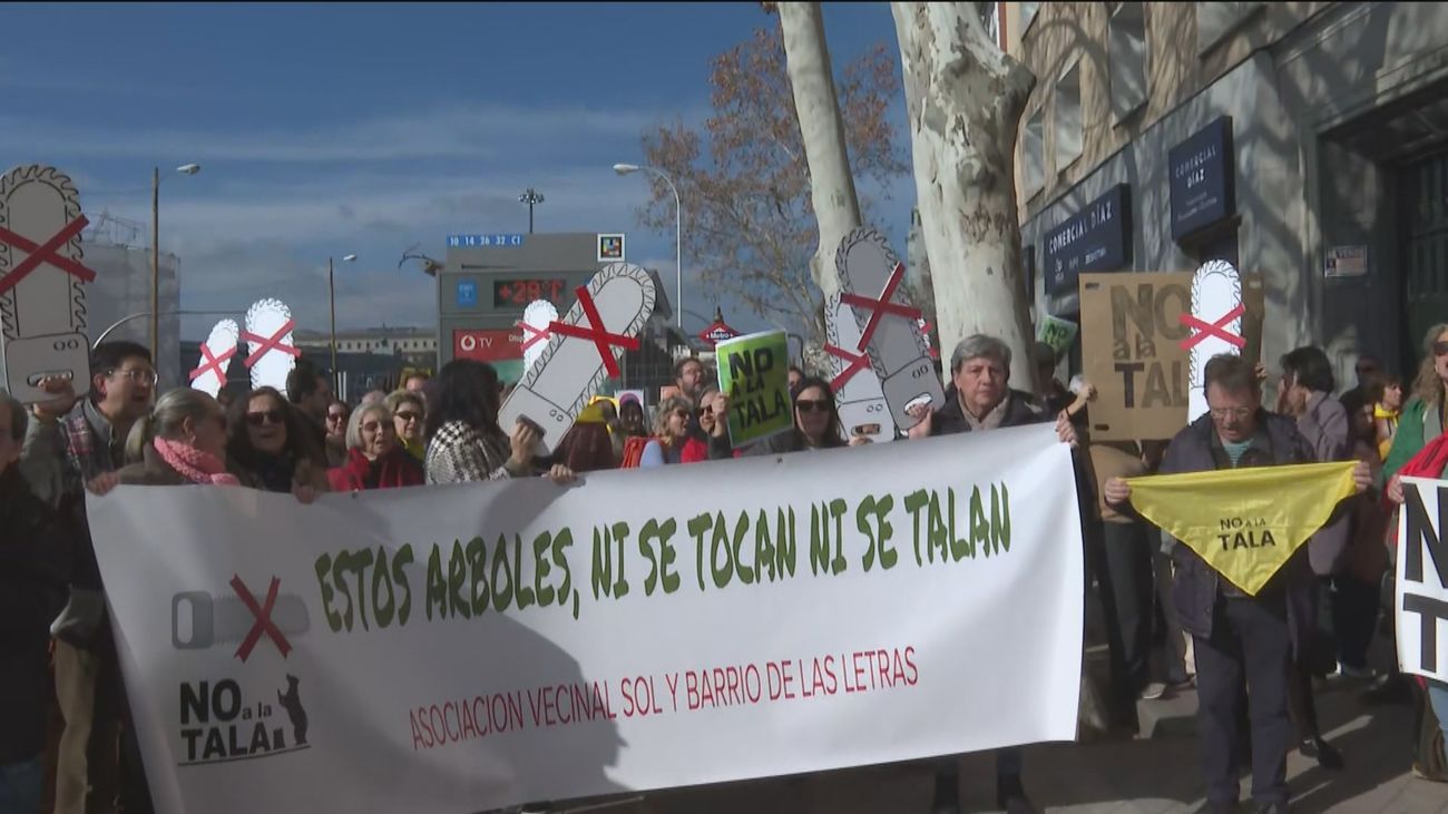 Vecinos de Retiro salen a la calle contra la tala de árboles en el ...