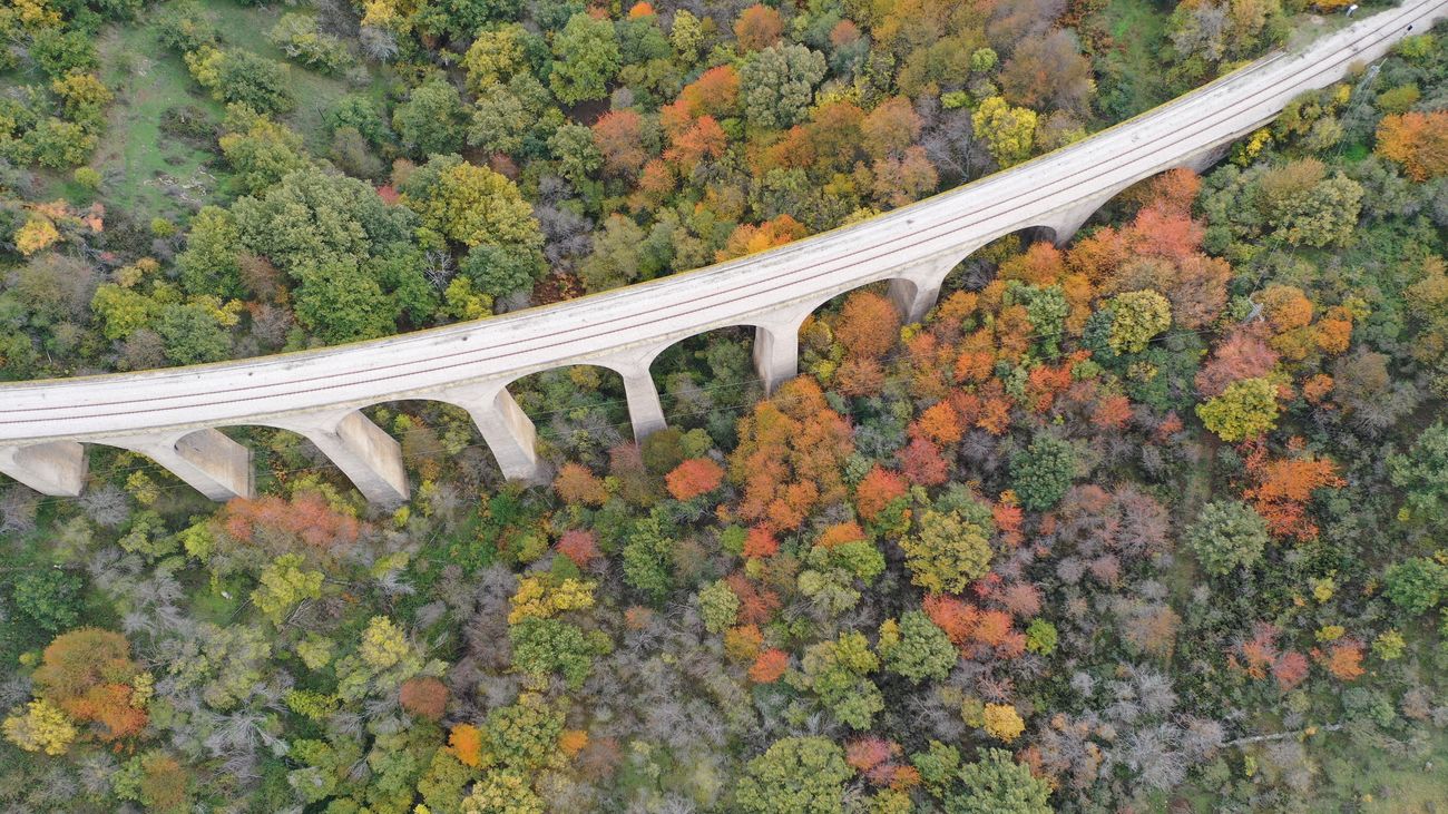 Puente ferroviario sobre el bosque de La Acebeda, en la Sierra Norte de Madrid