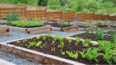 Tres Cantos entrega 53 huertos municipales a los vecinos