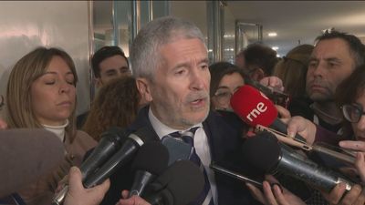 Marlaska no permitirá que las tractoradas lleguen a Ferraz