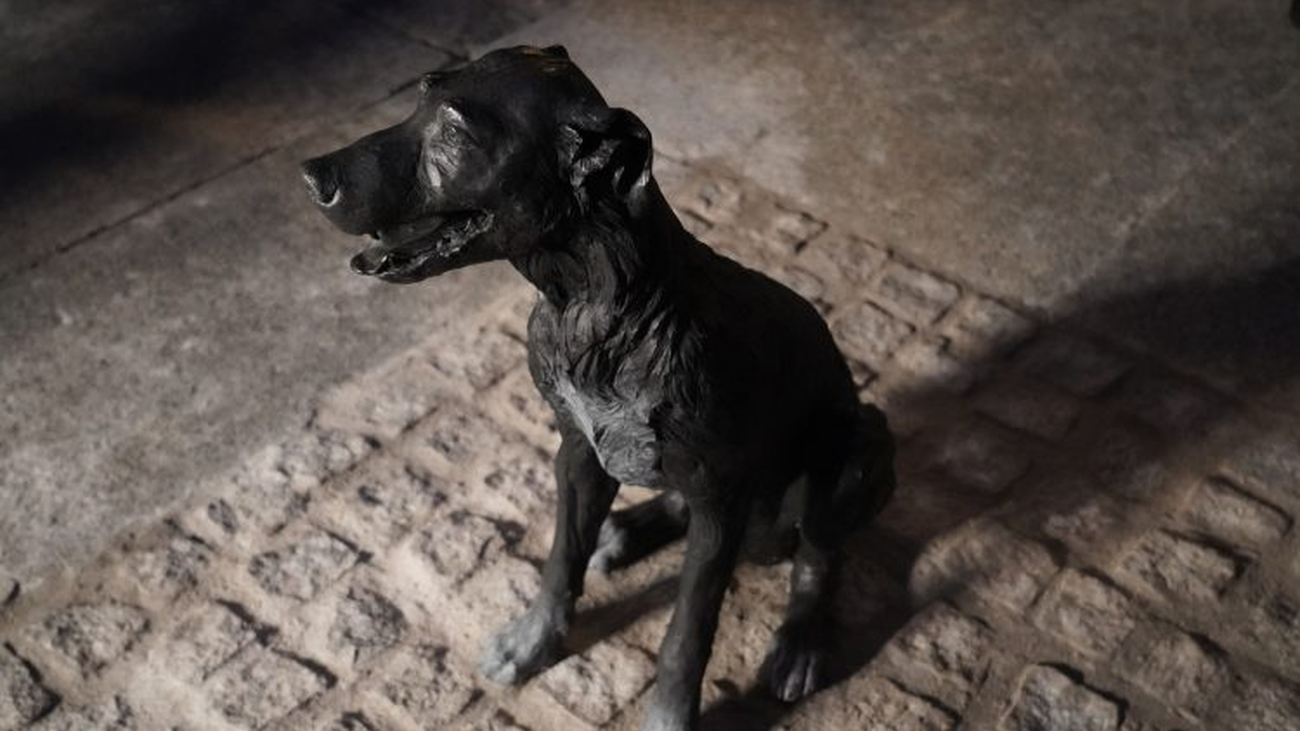 Estatua del perro Paco , frente al número 71 de la Calle de las Huertas