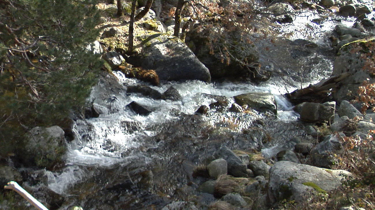 El deshielo provoca la crecida de los ríos y arroyos de Madrid