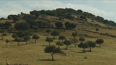 Detenido un hombre de 74 años por matar a su hermano mientras cazaban en Toledo