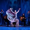 Madrid declara el flamenco Bien de Interés Cultural