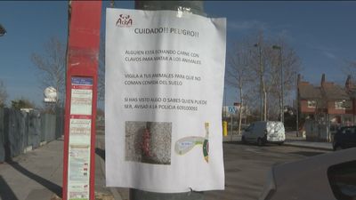 Advierten de la aparición de bolas de carne en Paracuellos con objetos punzantes en su interior