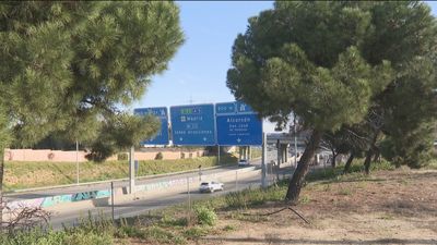 El Gobierno de Sánchez talará más de 2.000 árboles en la ampliación de la A-5