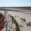 Balance de un año en Doñana, sin lagunas permanentes y con la biodiversidad en retroceso