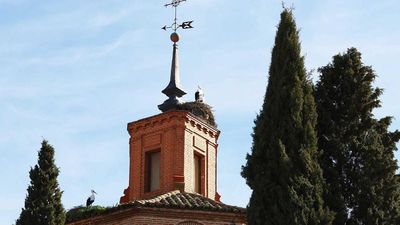 Alcalá retoma la ruta de las cigüeñas en febrero para celebrar San Blas