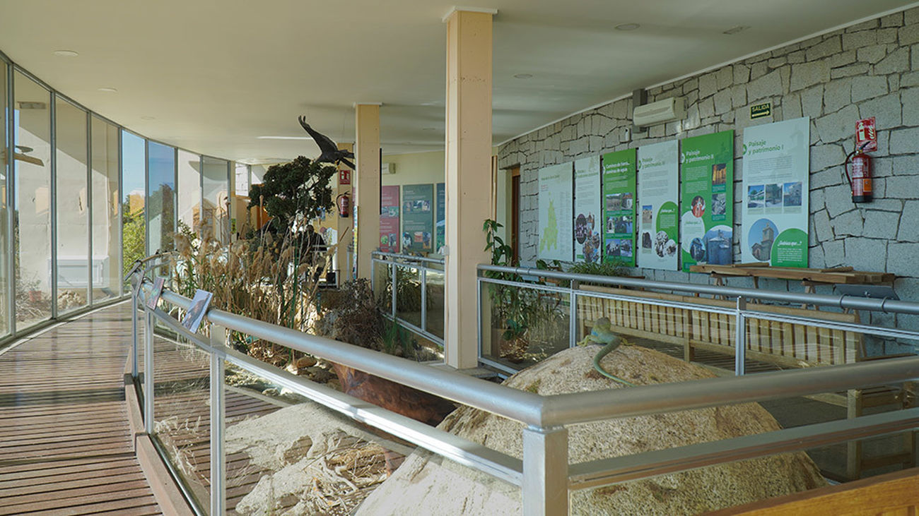 Interior del centro de educación ambiental de Chapinería 'El Águila'