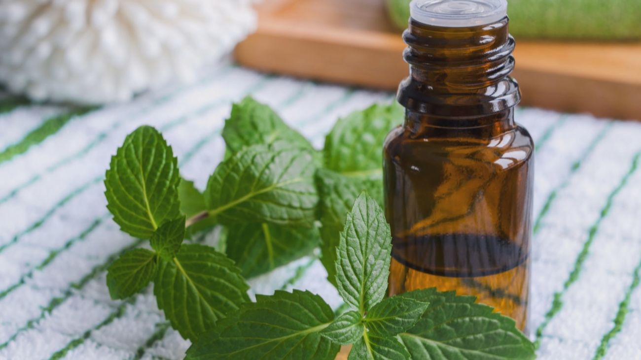 Madrid mejora tu vida 04.02.2024