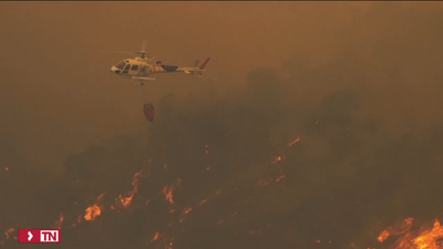 La UE ofrece ayuda a Chile para combatir la oleada de incendios, que ya han provocado 99 muertos
