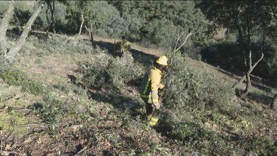 300 agentes forestales preparan al monte madrileño contra los incendios