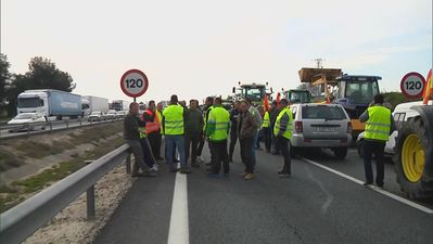 "La agricultura y la ganadería necesitan medidas estructurales, no remiendos", denuncian desde 'SOS Rural'